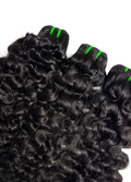 Raw Burmese Curly (Pre-Order)